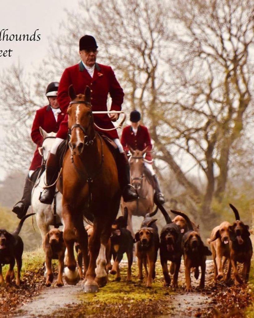Dumfriesshire Black & Tan